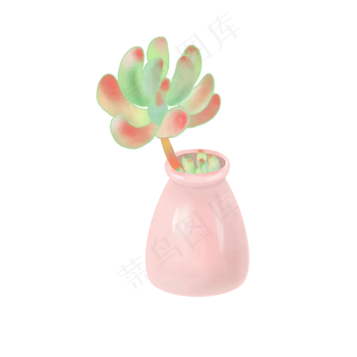 粉嫩八千代多肉免扣图,免抠元素(2000X2000(DPI:300))psd模版下载