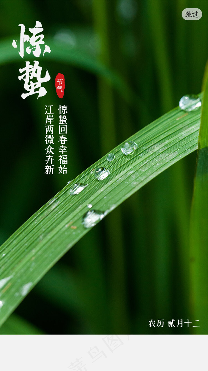 绿色春天惊蛰节气闪屏引导页