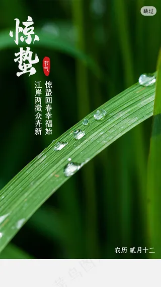 绿色春天惊蛰节气闪屏引导页