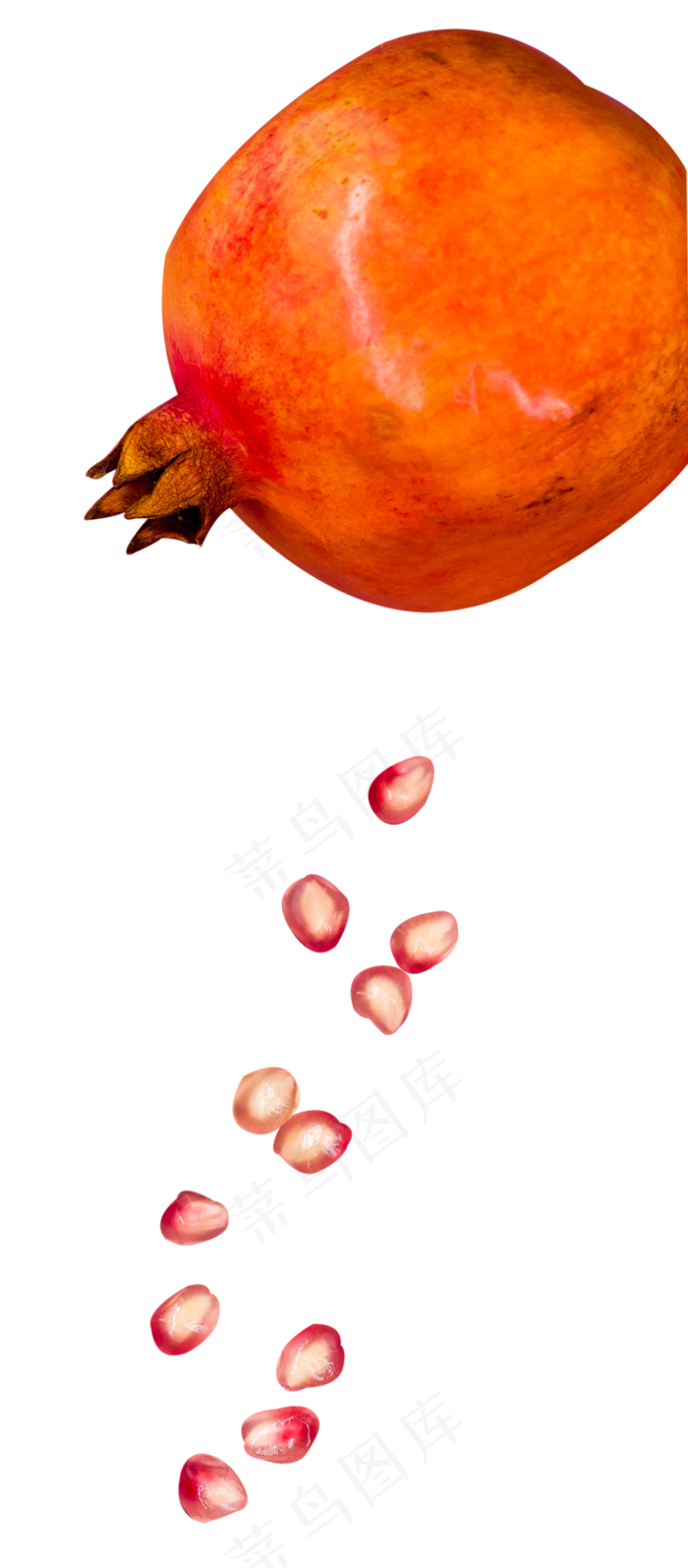 石榴水果(2000X4557(DPI:300))psd模版下载