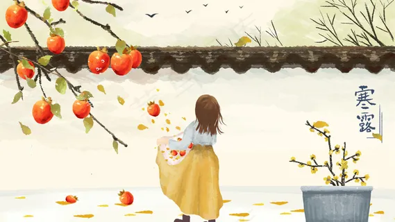 寒露小女孩开心收柿子