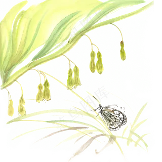 绿叶与蝴蝶水墨画PNG免抠素材