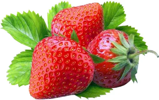 草莓 水果