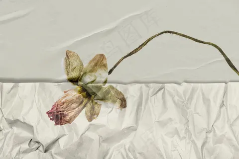 带有皱纹纸纹混合介质的手绘花 带有皱纹纸纹混合介质的手绘花
