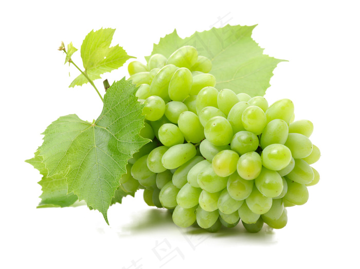 提子 葡萄 水果