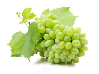 提子 葡萄 水果