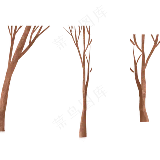 没叶子的树干