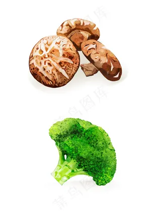 香菇 花菜 蔬菜