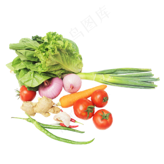 生菜洋葱大葱番茄胡萝卜姜辣椒