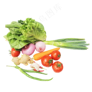 生菜洋葱大葱番茄胡萝卜姜辣椒