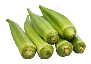 绿色的秋葵