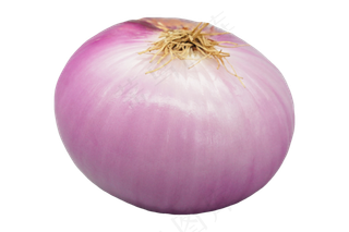紫色椭圆洋葱