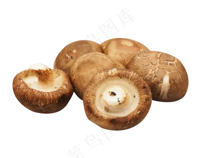 蘑菇蔬菜食材(2000X2000(DPI:300))