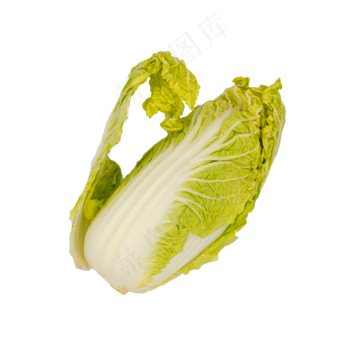 白菜娃娃蔬菜实物拍摄