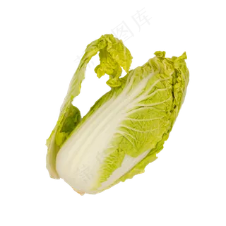 白菜娃娃蔬菜实物拍摄