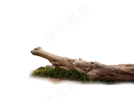 免扣素材树木元素高清