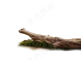 免扣素材树木元素高清