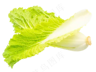 绿色蔬菜白菜