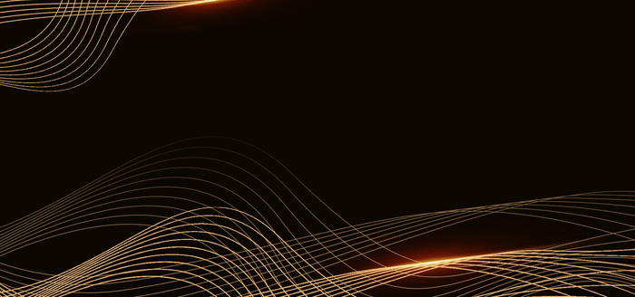 简约公司年会黑金线条背景