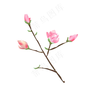 冬天结霜的梅花树枝