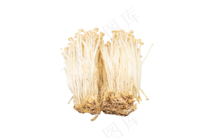 美味蔬菜金针菇