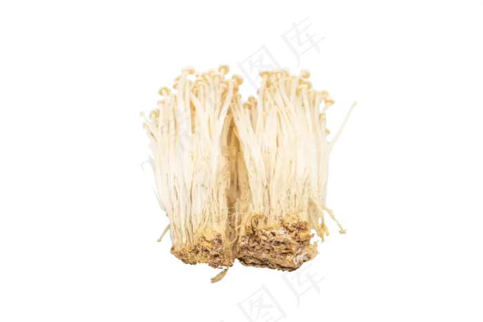 美味蔬菜金针菇(3000X3000(DPI:300))