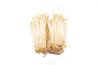 美味蔬菜金针菇