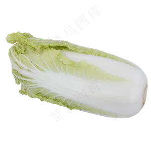食材大白菜