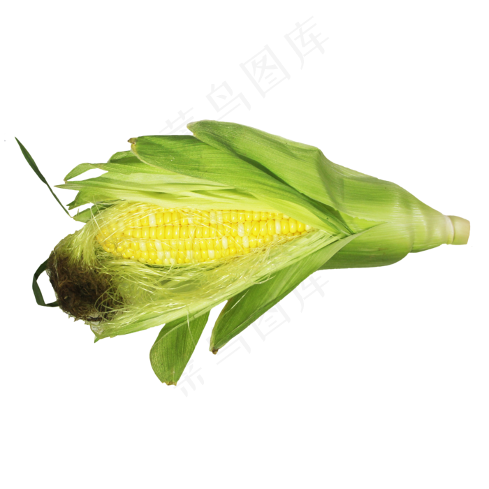 玉米苞蔬菜(3000X4210(DPI:3000))