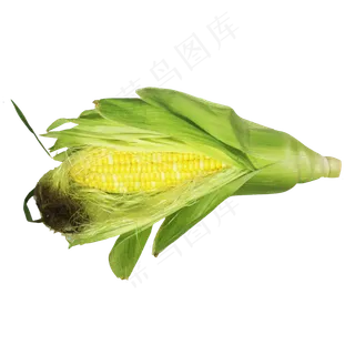 玉米苞蔬菜
