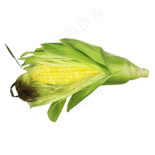玉米苞蔬菜