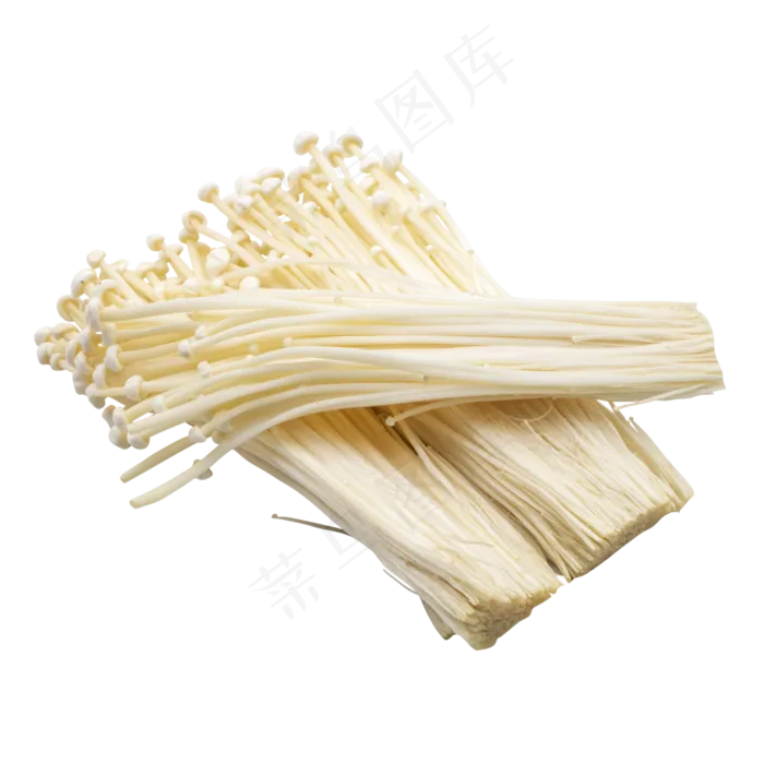 火锅金针菇蔬菜(4000*4000px 300 dpi )