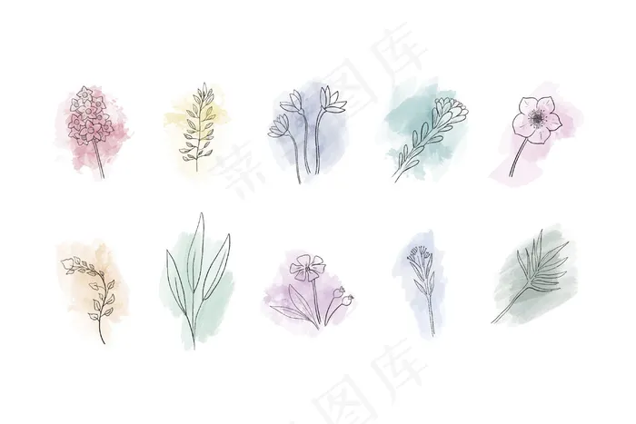 水彩颜料手绘花卉集eps,ai矢量模版下载