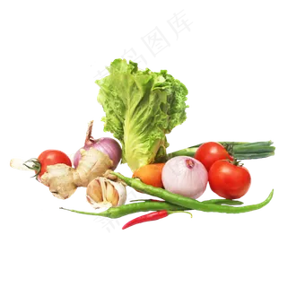 生菜番茄辣椒洋葱大蒜萝卜 生菜番茄辣椒洋葱大蒜萝卜