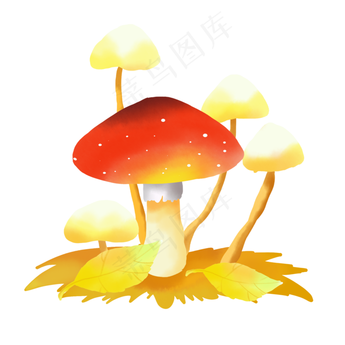 野生蘑菇(2000X2000(DPI:300))psd模版下载