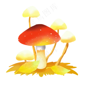 野生蘑菇