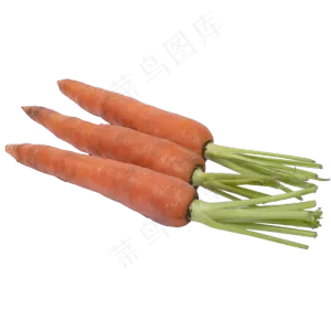 新鲜胡萝卜