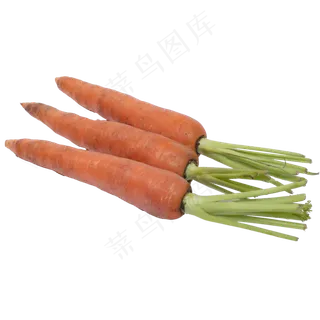 新鲜胡萝卜 新鲜胡萝卜