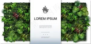 美丽的绿墙背景