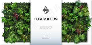 美丽的绿墙背景