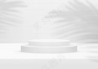 空讲台工作室白色木材背景与棕榈叶产品展示。