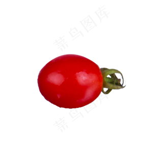 小番茄实物（png免抠）