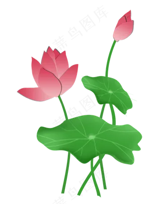 剪纸荷叶荷花