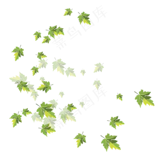 手绘植物树叶漂浮的叶子