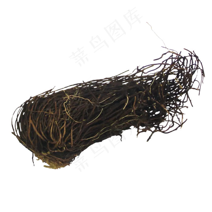 威灵仙中药药材,免抠元素(3333*3333px 300 dpi )