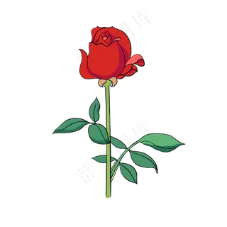 手绘花卉植物美丽红玫瑰花店插花,免抠元素