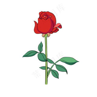 手绘花卉植物美丽红玫瑰花店插花,免抠元素
