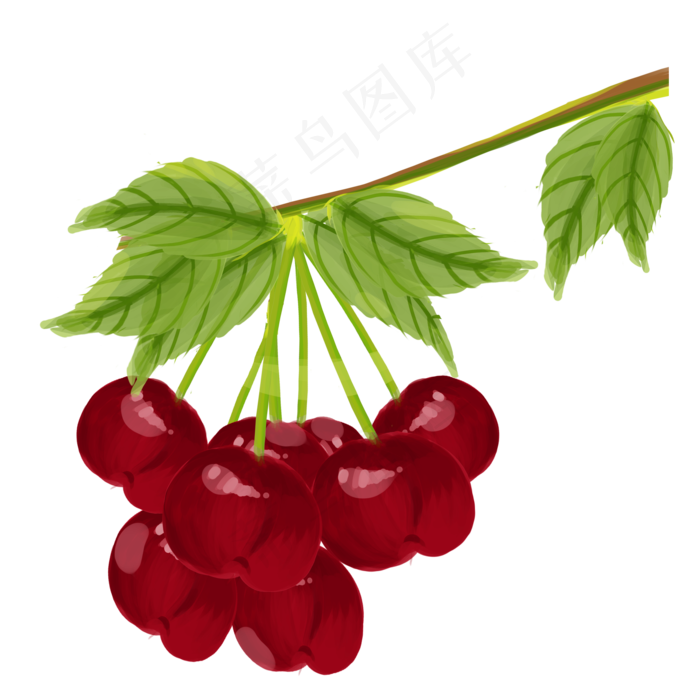 一串茂盛的水果樱桃