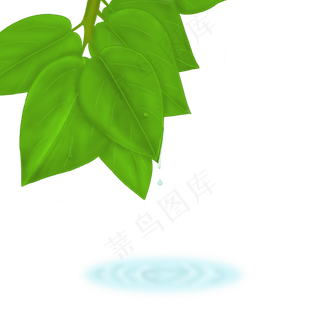 手绘早晨白露绿植