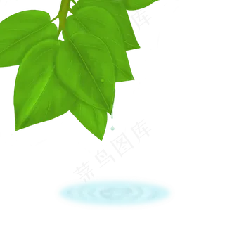 手绘早晨白露绿植